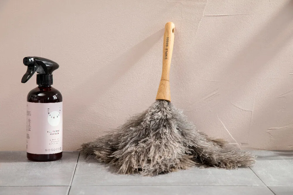 Broom Duster