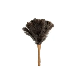 Broom Duster