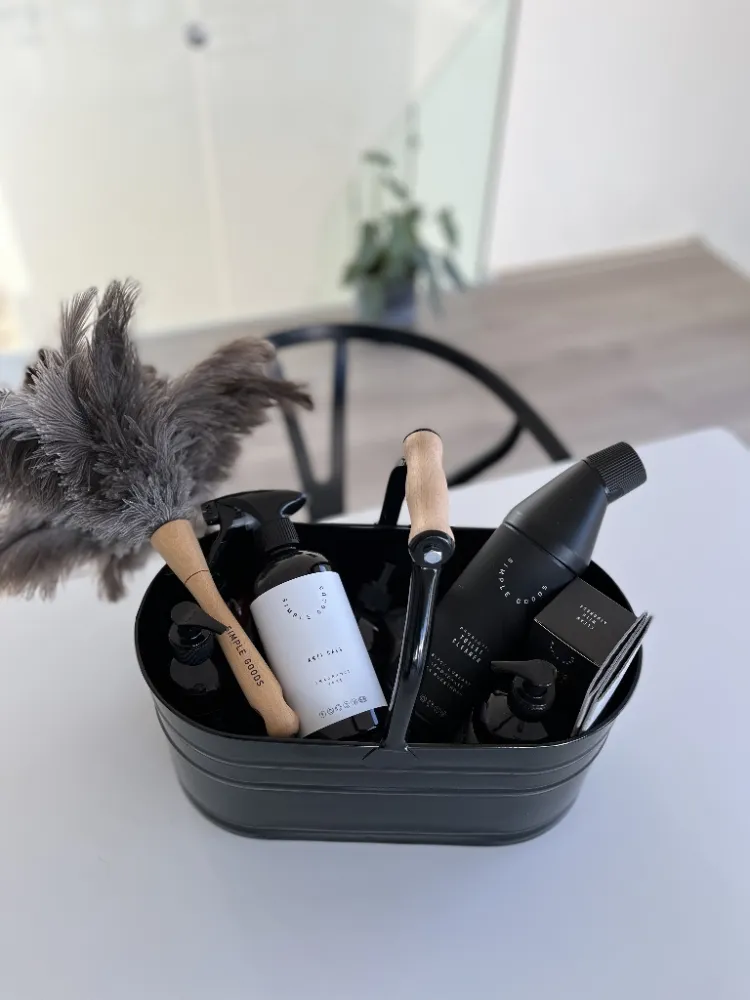 Broom Duster