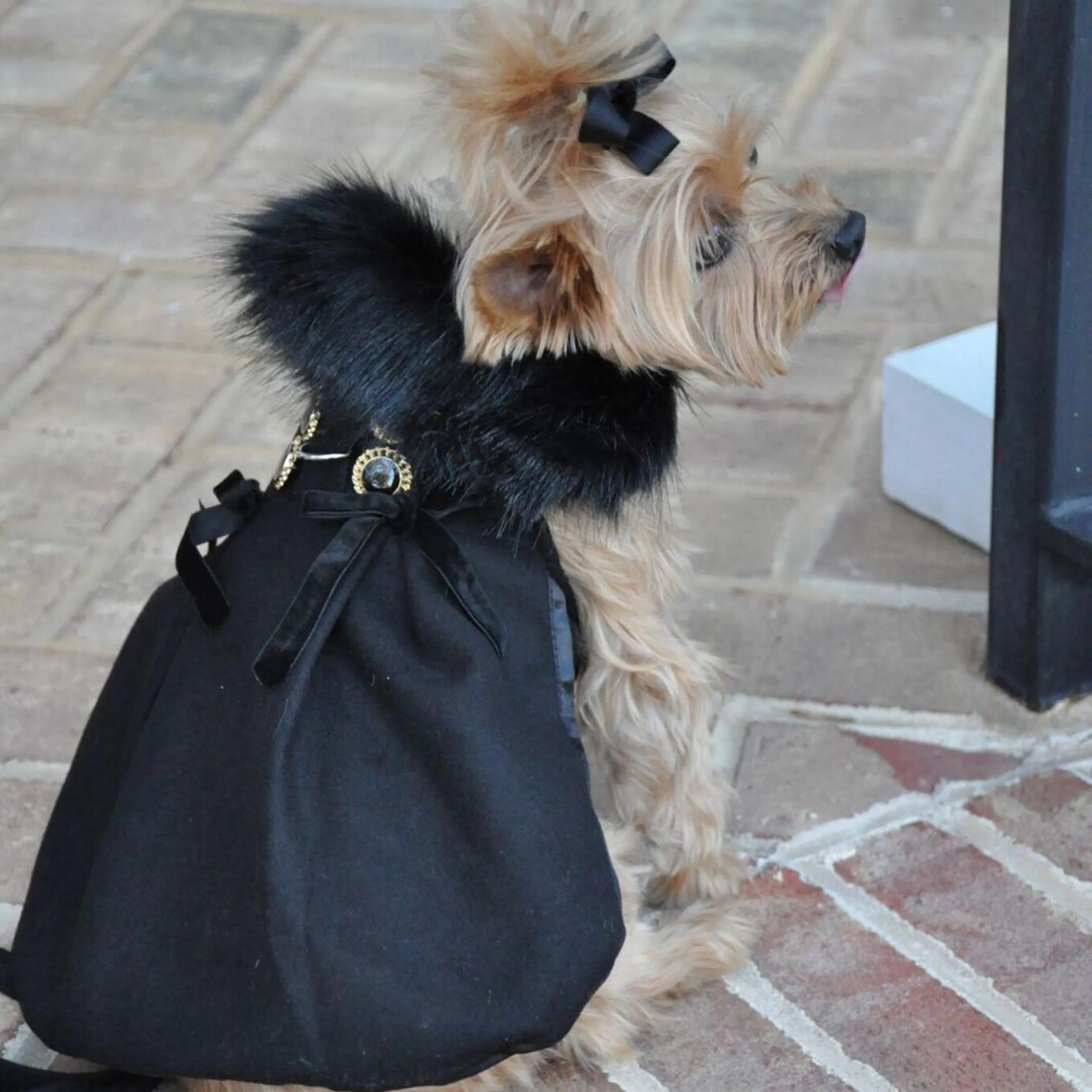 Designer Coat | Fancy Black Wool