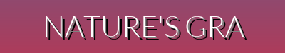 Nature-Inspired Fashion – Cotton T-Shirts, Wool Sweaters, and Simple Coats